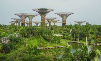 Highlight of Singapore with Gardens by the Bay