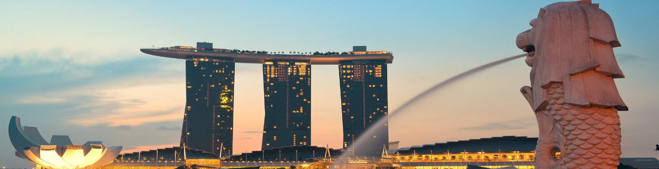 singapore shore excursions