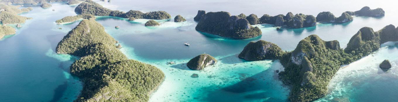 Bali Shore Excursions